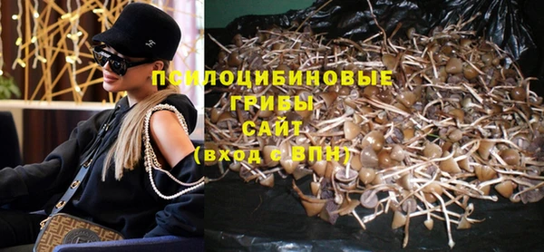 jwh Богородицк