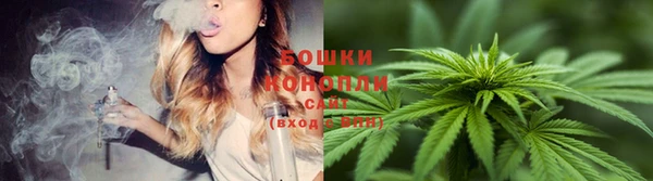 jwh Богородицк