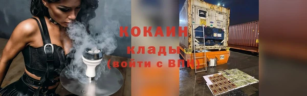 прущие крисы Бородино