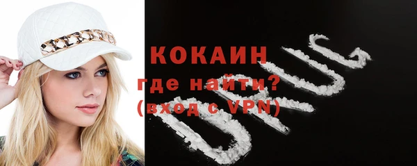 прущие крисы Бородино
