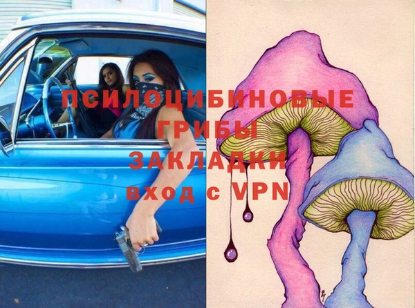 соль ск Богданович