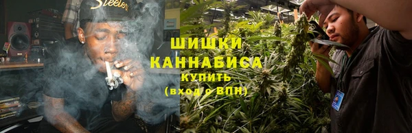 соль ск Богданович
