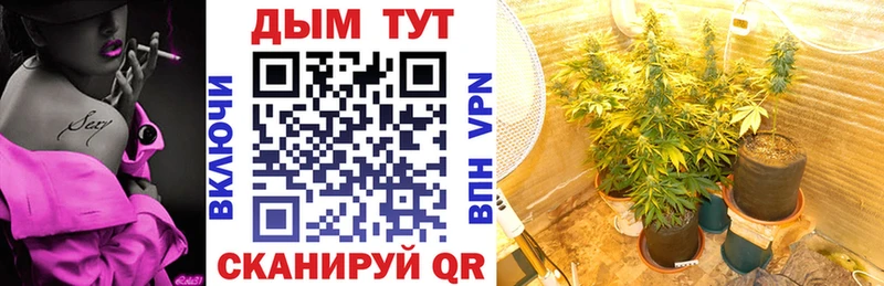 mega рабочий сайт  Высоковск  Бошки марихуана THC 21% 
